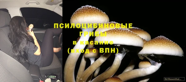 2c-b Верея