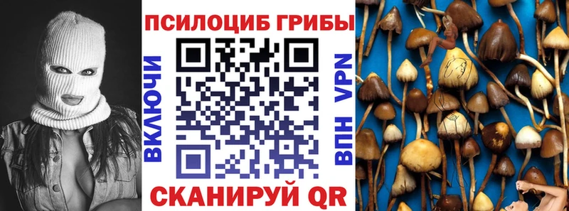 наркотики Новосокольники Галлюциногенные грибы Cubensis