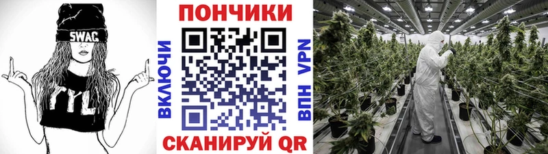 Бошки марихуана семена  Новосокольники 